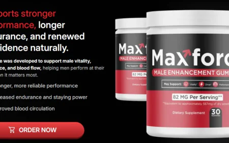 What is MaxForce?