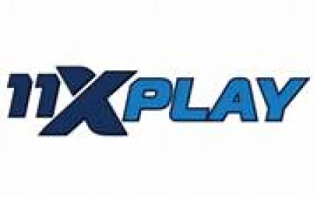 Why 11xplaypro Login Is Becoming the First Choice for Sports Betting Enthusiasts