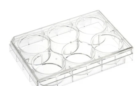 Understanding Cell Culture Plates and Their Role in Modern Laboratories