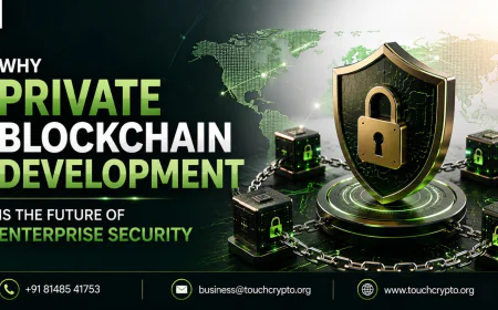 Why Private Blockchain Development Is the Future of Enterprise Security