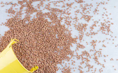 Animal Feed Additives Market Size, Trends, and Growth Forecast 2026-2033