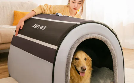 How to Choose the Right Pet Carrier for Your Cat: A Practical Buying Guide