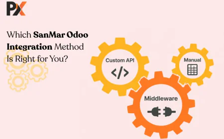 Which SanMar Odoo Integration Method Is Right for You?