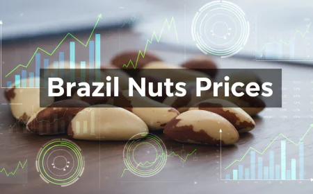 Brazil Nuts Prices Index Analysis with Quarterly Trend and Forecast Prices Chart