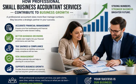 Small Business Accountant: Best Way to Sort the Financial & Accountancy Difficulties