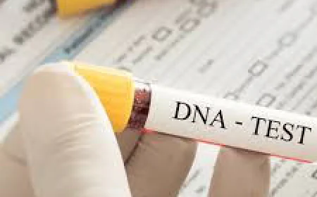 Why DNA Testing in Dubai Is Becoming More Popular