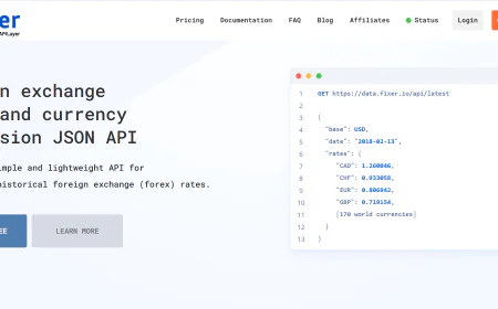 Which Exchange Rate API Is Best for Accurate Currency Data?