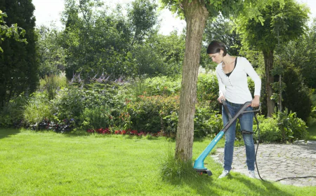 Luxury Lawn Care: Boosting Property Value in Metro Vancouver