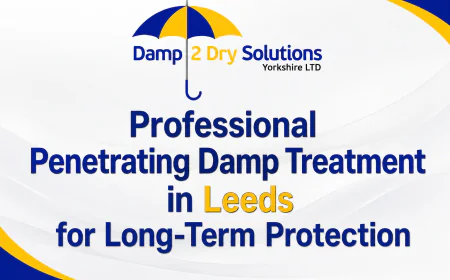 Professional Penetrating Damp Treatment in Leeds for Long-Term Protection
