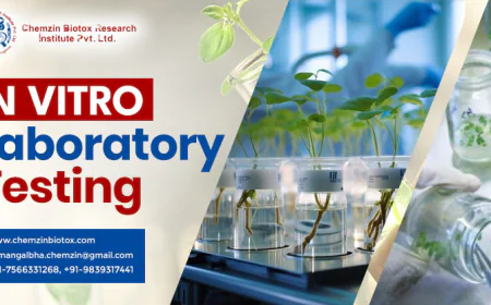 Importance of In Vitro Laboratory Testing Services
