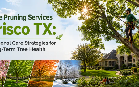 Tree Pruning Services Frisco TX: Seasonal Care Strategies for Long-Term Tree Health