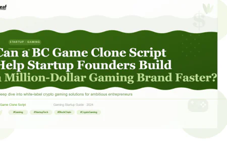 Can a BC Game Clone Script Help Startup Founders Build a Million-Dollar Gaming Brand Faster?