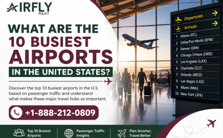 What Are the 10 Busiest Airports in the United States?