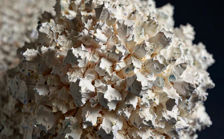 Lithium Carbonate Prices May 2026 |Trend, Index , Demand & Forecast