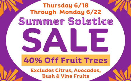 Summer Care for Backyard Fruit Trees | East Bay | Evergreen Nursery