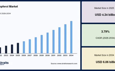 Kaempferol Market Size, Industry Share and Future Outlook, 2034