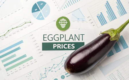 Eggplant Prices Index Analysis with Quarterly Trend and Forecast Prices Chart