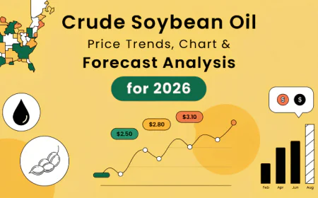 Crude Soybean Oil Price Chart 2026: Global Trends, Data and Forecast