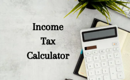 Compare Old vs New With an Income Tax Calculator: New Regime Before You File