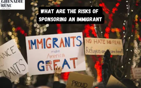 How a New York Asylum Attorney Protects Vulnerable Families