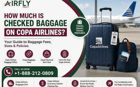 How Much Is Checked Baggage on Copa Airlines?