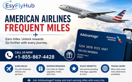 How the American Airlines Frequent Miles Program Works