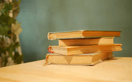 Emotional Women’s Fiction Novels for Readers Who Want Meaningful Stories