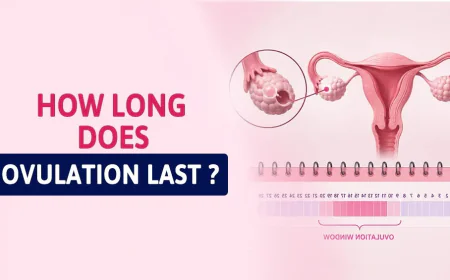 How Long Does Ovulation Last?