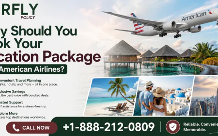 Why Should You Book Your Vacation Package with American Airlines?