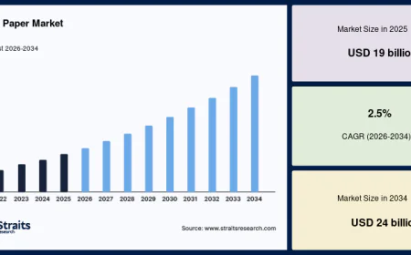 Kraft Paper Market Trends Reshaping the Future of Sustainable Packaging