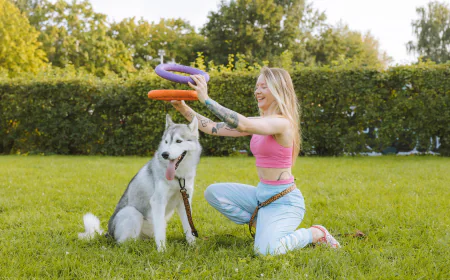 Dog Training Annapolis MD: Building Better Relationships Between Dogs and Their Owners