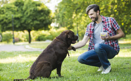 How to Choose the Best Dog Trainer Baltimore MD for Lasting Results