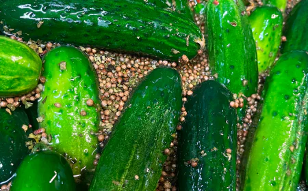 Why Smart Food Businesses Are Turning to Wholesale Pickles for Consistent Quality and Value