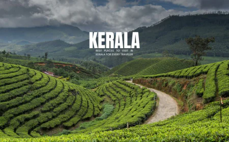 Kerala Tour Packages Under 10000 Covering Munnar and Alleppey