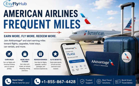American Airlines Frequent Miles: Everything You Need to Know in 2026