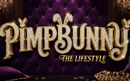 How PimpBunny Fits into the Evolving Digital Content Landscape