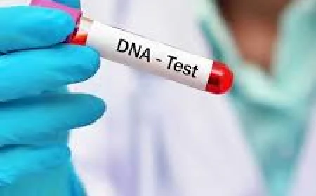 DNA Testing in Dubai: Everything You Need to Know About Modern Genetic Testing