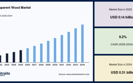 Global Transparent Wood Market Growth Analysis 2034