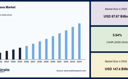 Cassava Market Revenue Insights & Industry Forecast 2034
