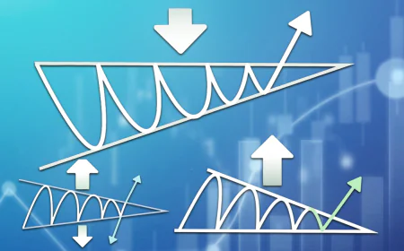 In the fog of financial data, find a clear light