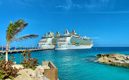 How a Cruise Travel Agency in Tampa, FL Helps Travelers Sail Without the Stress