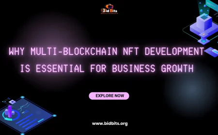Why Multi-Blockchain NFT Development Is Essential for Business Growth