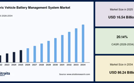 Electric Vehicle Battery Management System Market Growth Supported by Clean Mobility