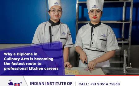 Why a Diploma in Culinary Arts Is Becoming the Fastest Route to Professional Kitchen Careers
