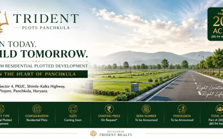 Trident Plots Panchkula Build Your Dream Home in a Prime Location