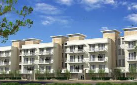 Why DLF Pinjore Panchkula Is the Next Real Estate Destination
