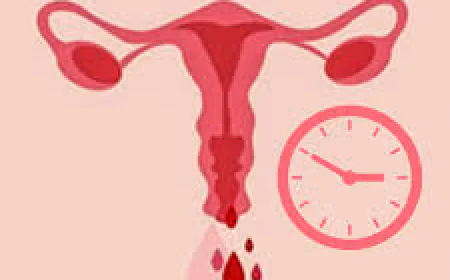 Vaginal Bleeding Between Periods: Causes, Home Care & When to Worry