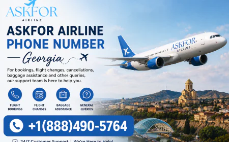 Is it Better to Call Qantas Airways Phone Number Georgia than Visiting Their Website?