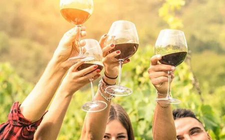 What a Wine Tour in Adelaide Involves and How to Choose the Right Experience?