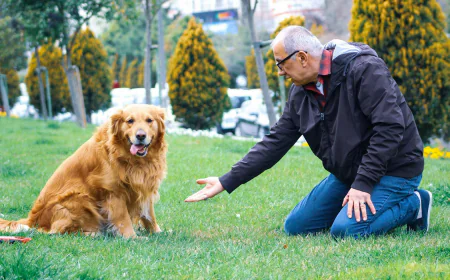 Dog Trainer Pittsburgh PA: 7 Signs Your Dog Is Mentally Overstimulated — Not “Bad”